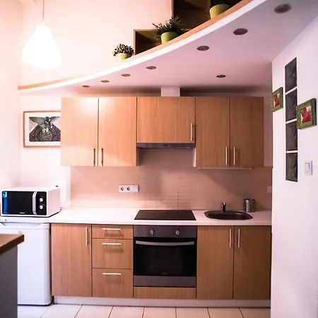 Apartment Studio 45 In The Budapest